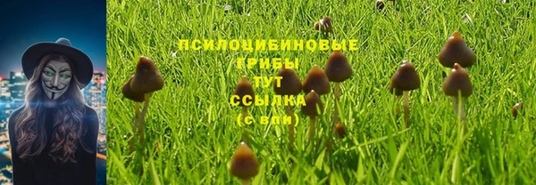 ALPHA-PVP Остров