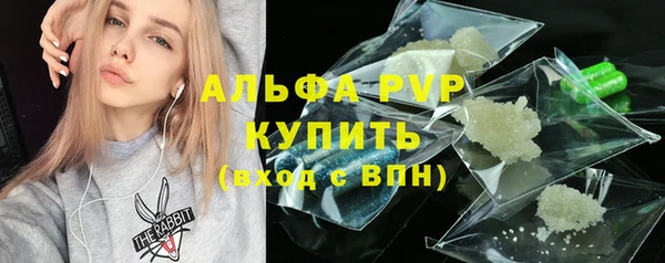 СК Осинники