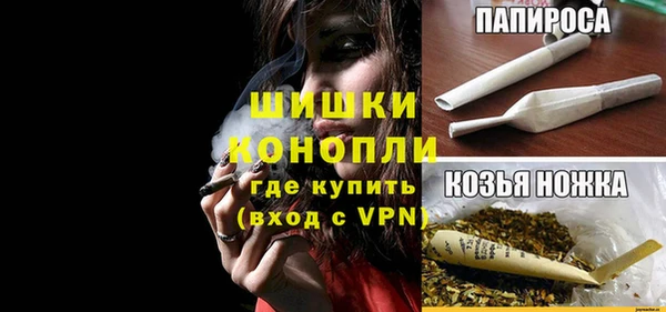 СК Осинники