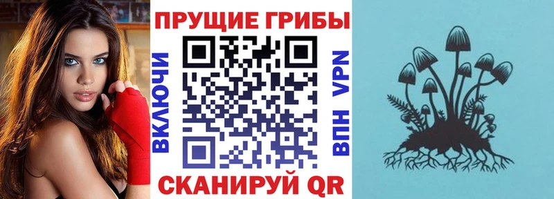 Галлюциногенные грибы Psilocybine cubensis  Эртиль 